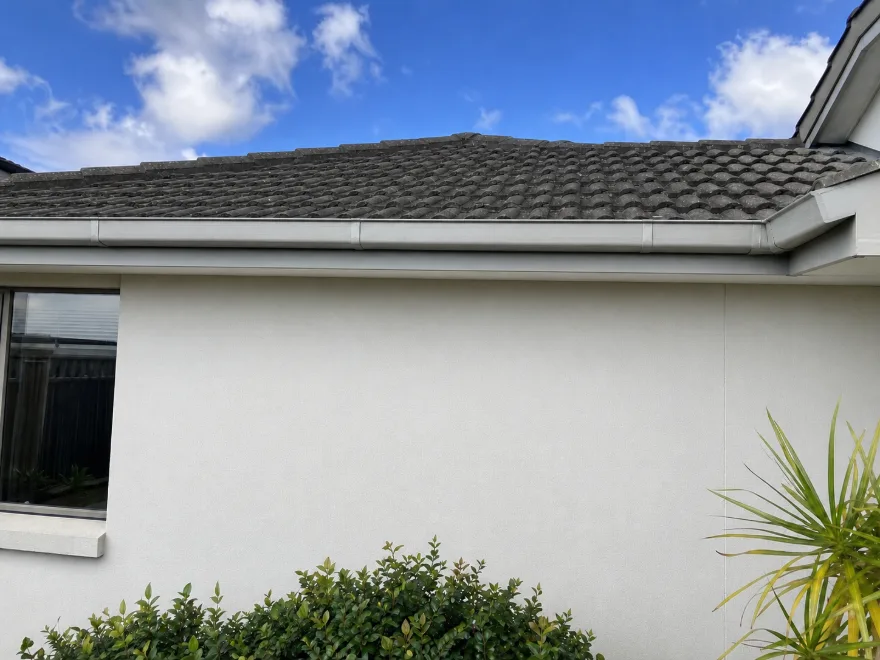 Painted exterior wall after soft washing, mould removed
